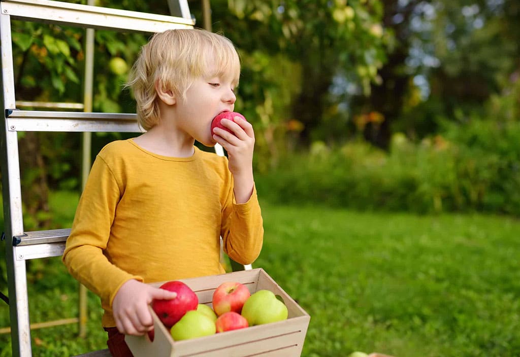 Healthy Breakfasts & Snacks Keep Them Nourished